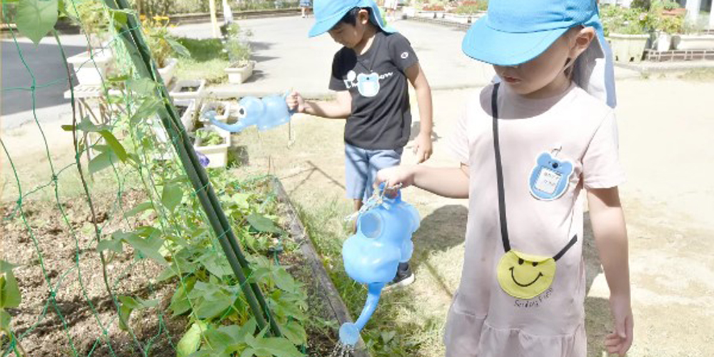 社会福祉法人千草福祉会【保育士(男女)（垣花こども園・垣花児童クラブ）】の求人募集画像